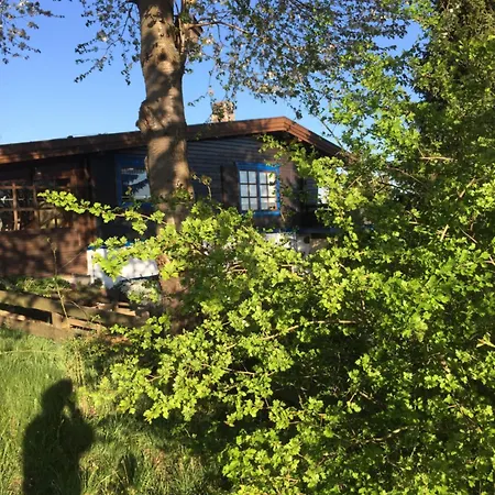 Natur Pur Mit Fernblick Fuer Wanderfreunde Bad Sachsa Extérieur photo